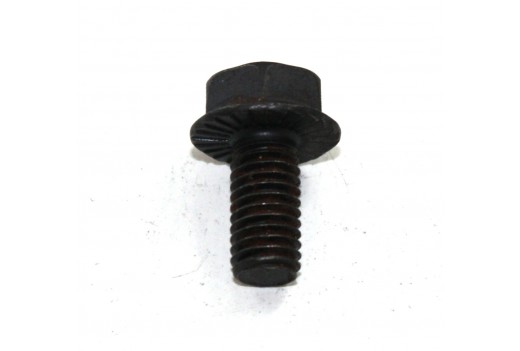 Sicherungsschraube