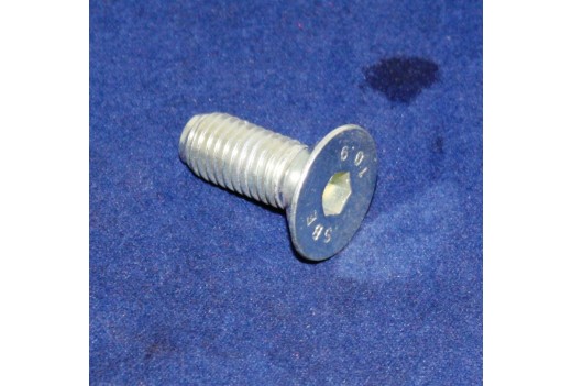 Schraube M 10x25 DIN 7991