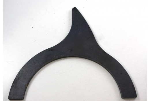 Ringzinken