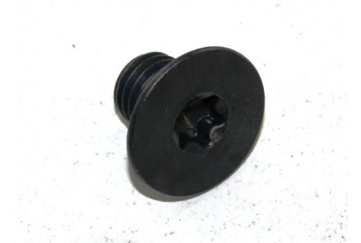 Senkschraube mit Torx  T 50