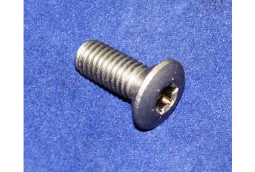 Linsenkopfschraube mit Torx
