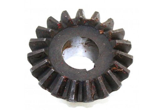 Ritzel