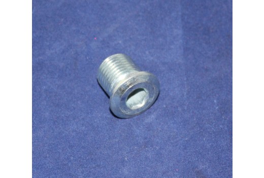 Verschlussschraube