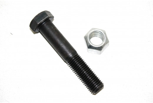 Schraube mit Si.-Mutter 16x100