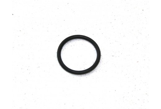 O-Ring 20 x 2