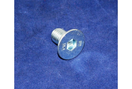 Senkschraube 12x20 D 7991.8