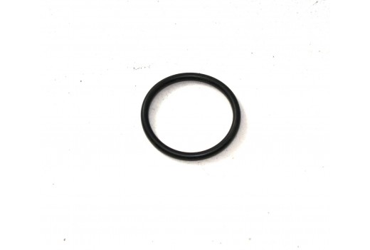 O-Ring 20 mm