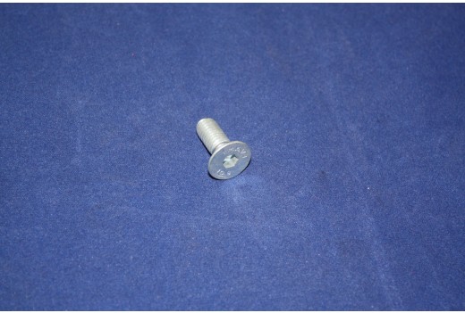 Schraube M 8 x 20