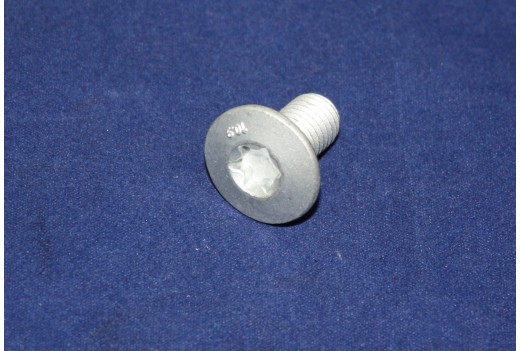 Schraube M 10x19 10.9
