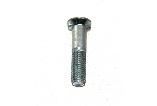 Schraube 10 x 30