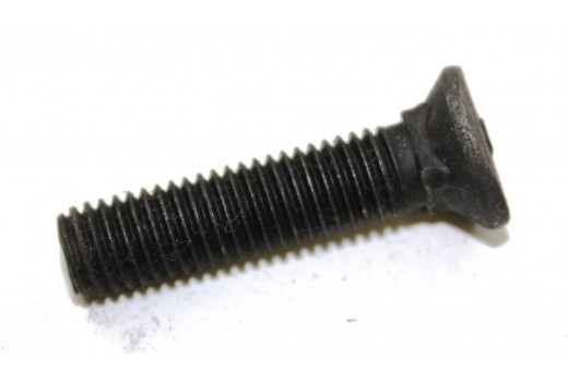 Bolzen M 10 x 45 8.8 DS 6007