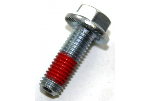 Schraube M 10 x 30 SL DIN 6921