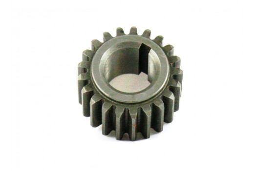 Ritzel 21 Z
