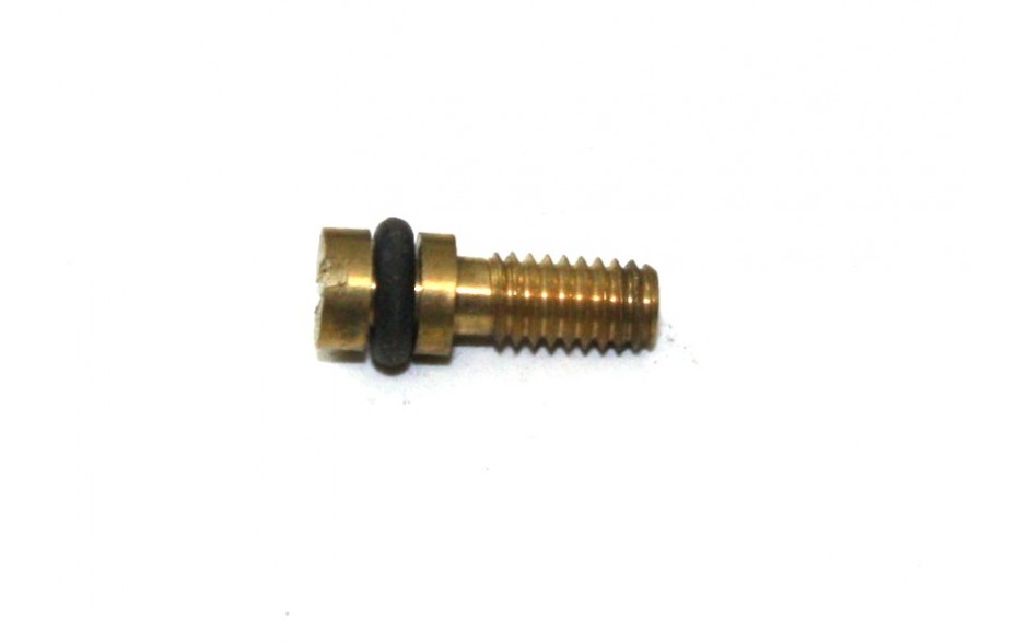 Dichtschraube mit O-Ring