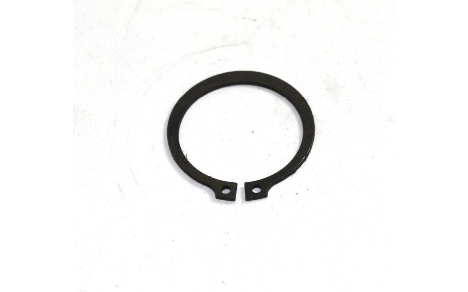 Sicherungsring