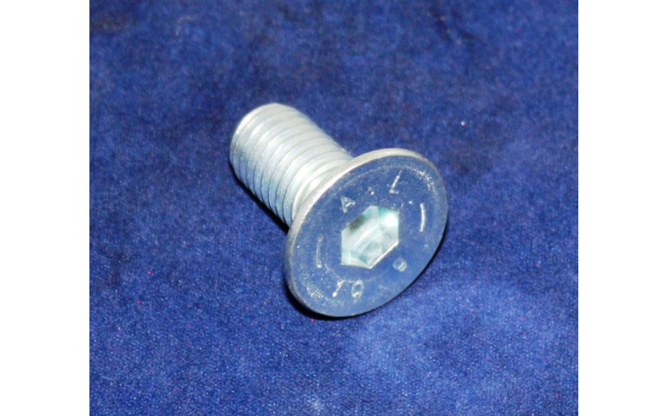 Senkschraube M12x25