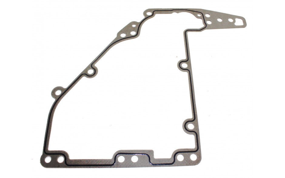 Dichtung SM300 TA   130862