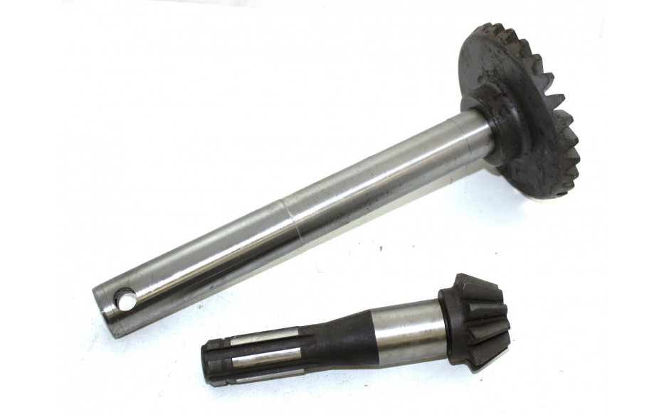 Tellerrad mit Ritzelwelle