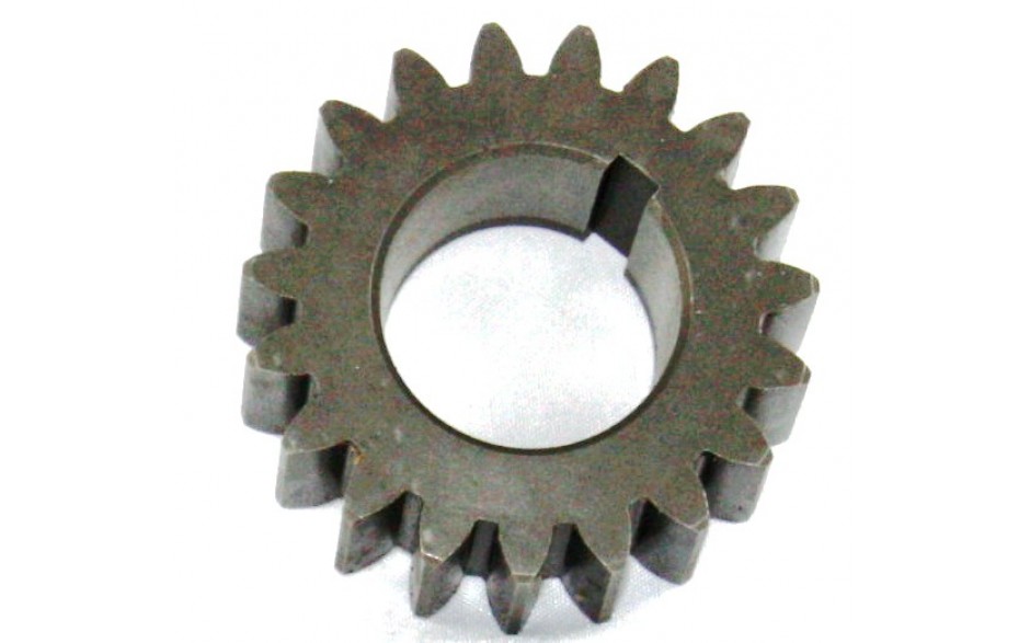 Ritzel