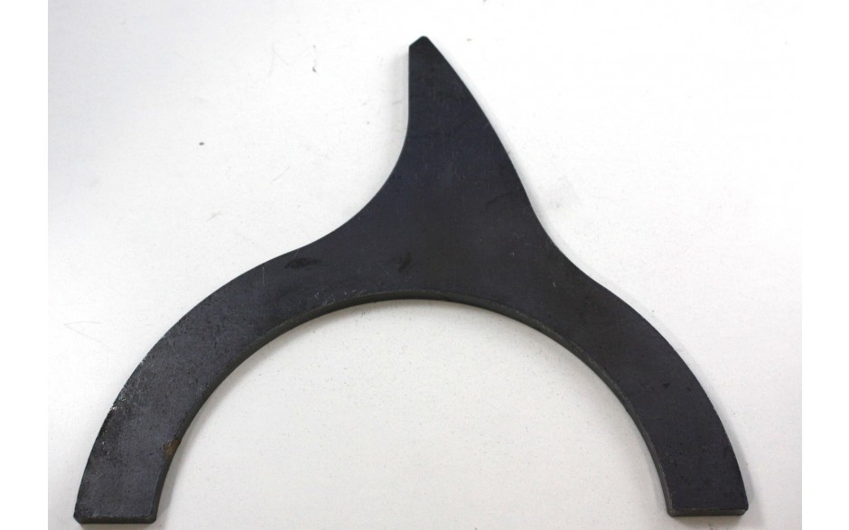 Ringzinken
