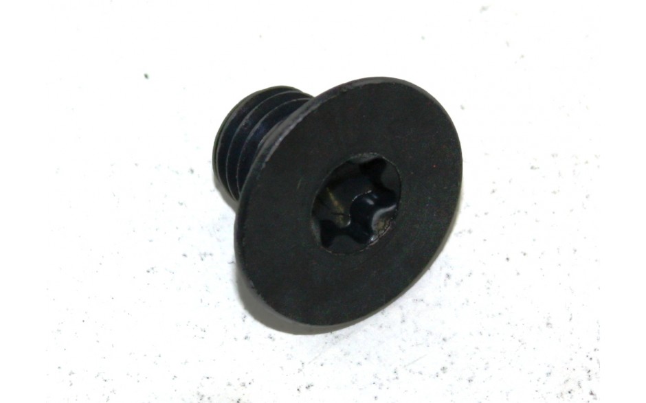 Senkschraube mit Torx  T 50