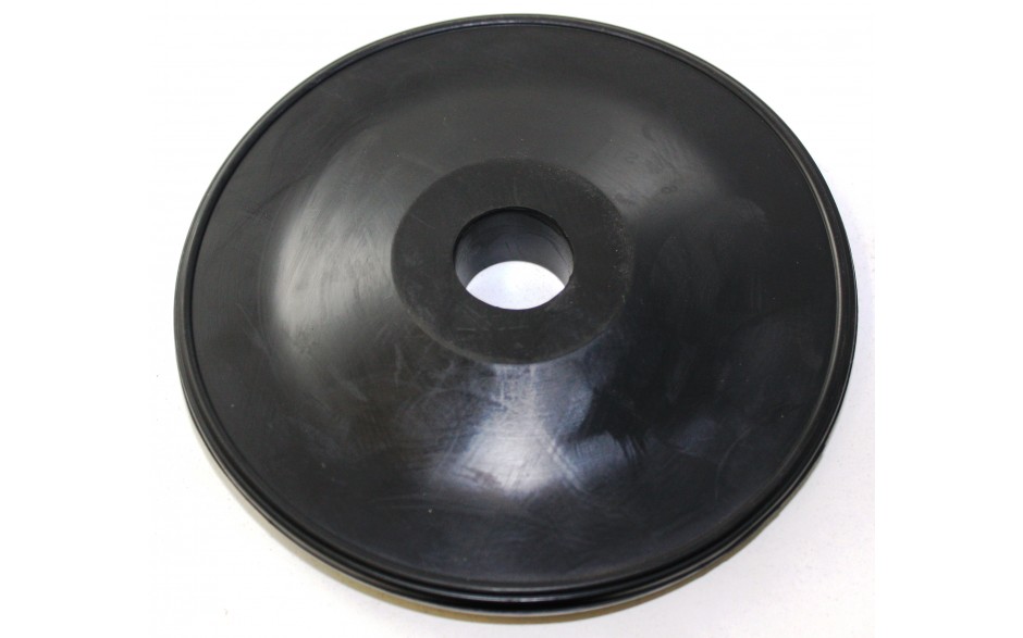 Membrane 1200-1300