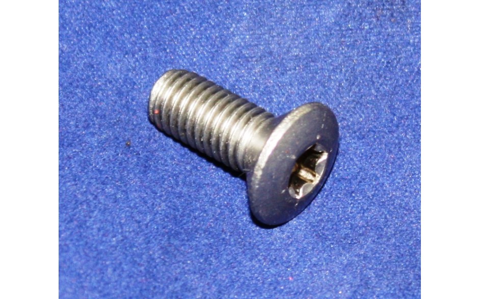 Linsenkopfschraube mit Torx