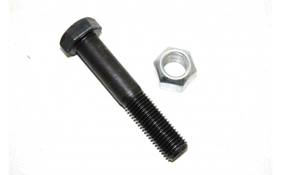 Schraube mit Si.-Mutter 16x100