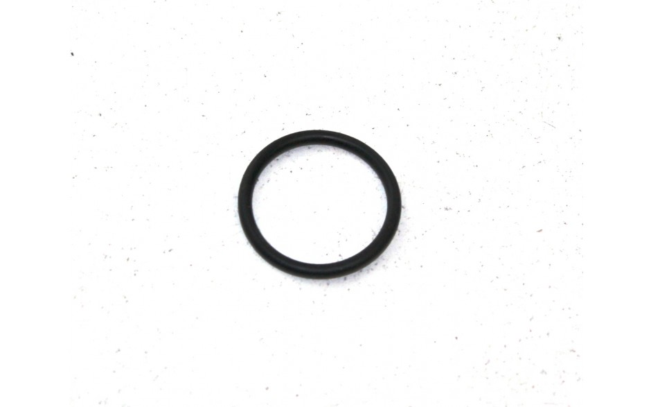O-Ring 20 x 2