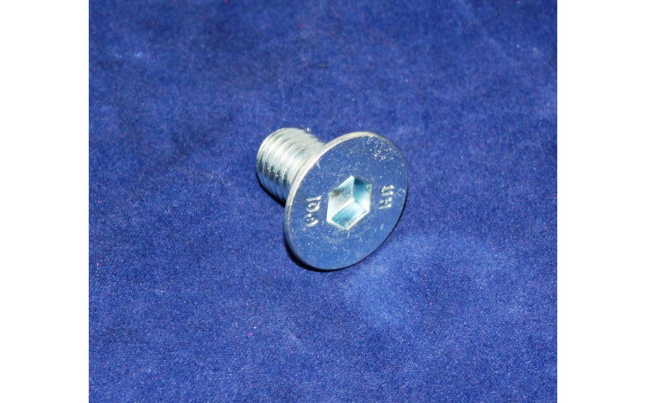 Senkschraube 12x20 D 7991.8