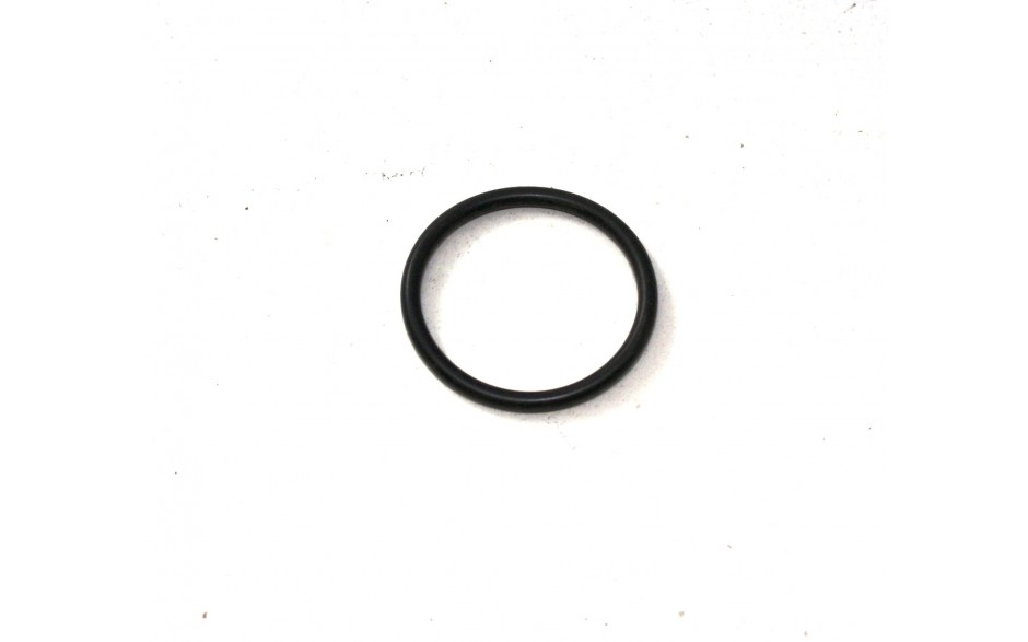 O-Ring 20 mm
