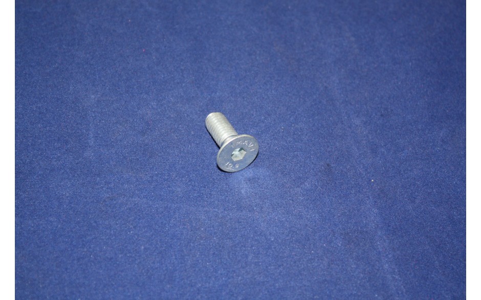 Schraube M 8 x 20