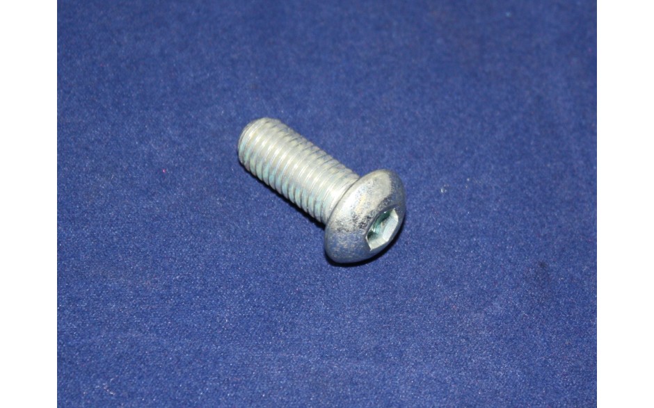 Rundkopfschraube mit