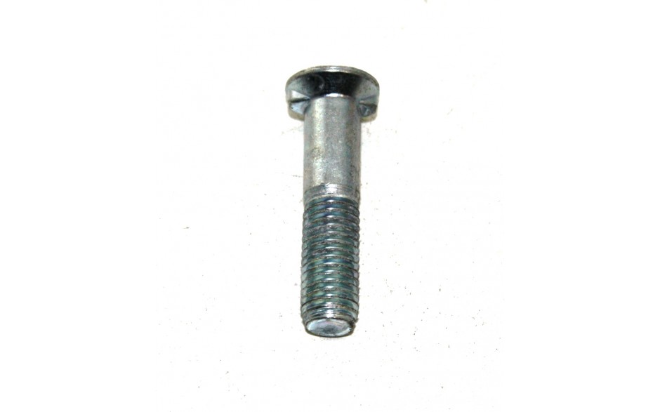 Schraube 10 x 30