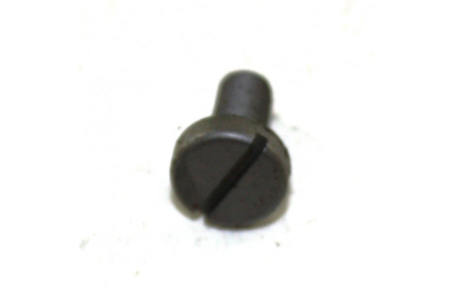 Klemmschraube